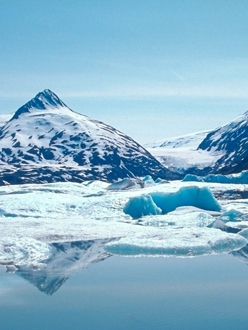 tp官方下载网址